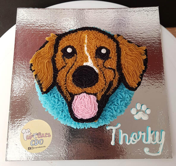 2D Portrait Cakes